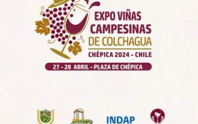 EXPO VIÑAS CHÉPICA