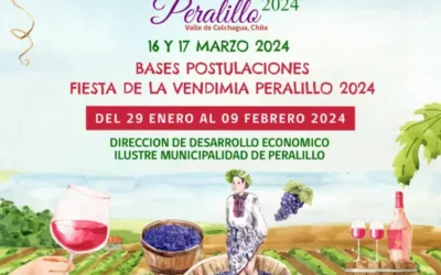 FIESTA DE LA VENDIMIA DE PERALILLO