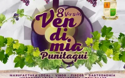 FIESTA DE LA VENDIMIA DE PUNITAQUI