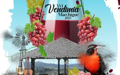 FIESTA DE LA VENDIMIA DE MARCHIGUE